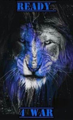 Detroit Lions by null