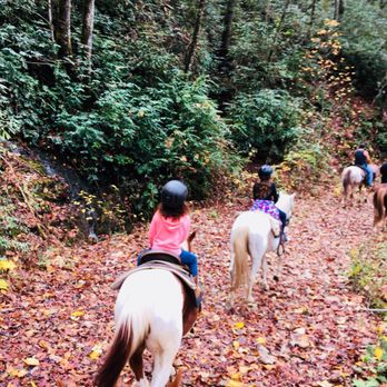 End of the Trail - Heading back down. - Horseback Riding Near Me - Cherokee, North Carolina