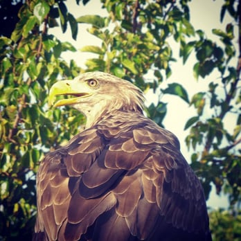Oltremare - Zoos Near Me - Riccione, RN Oltremare - Zoos Near Me - Riccione, RN
