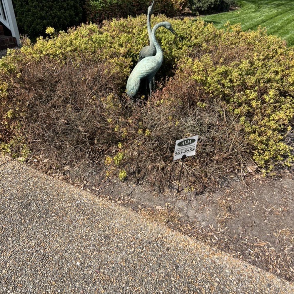 Agronomic Lawn Management - 6 months after hiring ALM (March 24, 2023) - Lawn Services Near Me - Chesapeake, Virginia Agronomic Lawn Management - 6 months after hiring ALM (March 24, 2023) - Lawn Services Near Me - Chesapeake, Virginia