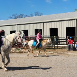 Echo Valley Arabians