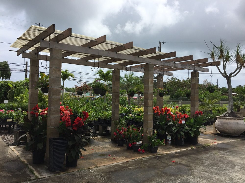 GLENN’S FLOWERS AND PLANTS Updated September 2024 107 Photos & 49