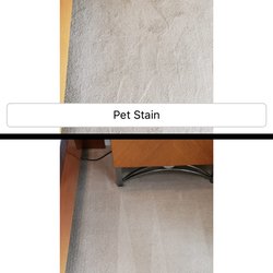 Dr. Carpet - Carpet cleaning pet stains in Newport Beach