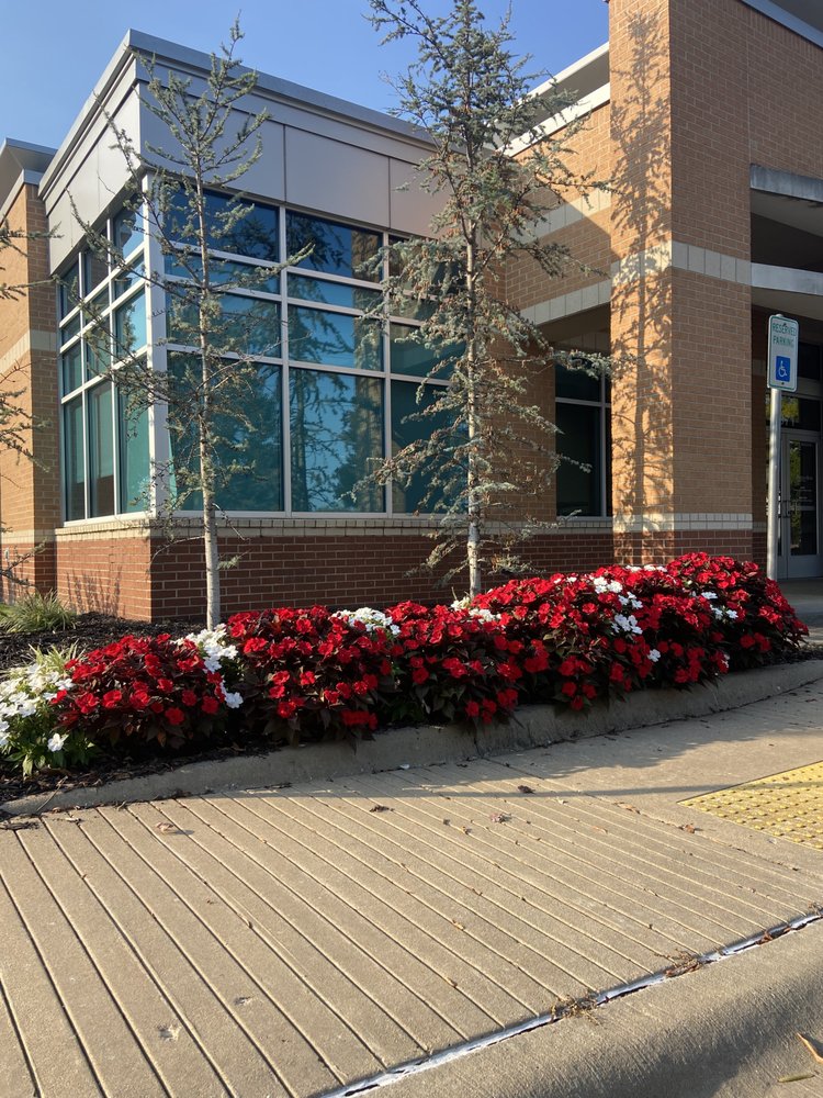 First Light Landscaping - tree service in Fayetteville, AR