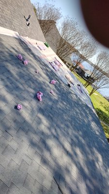 Jimenez Roofing Logo