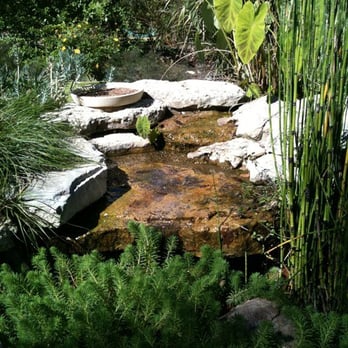 The Natural Gardener - The water feature in the butterfly garden. 11/6/10 - Nurseries & Gardening Near Me - Austin, Texas The Natural Gardener - The water feature in the butterfly garden. 11/6/10 - Nurseries & Gardening Near Me - Austin, Texas