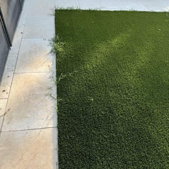 Always Green Turf - Artificial Turf Near Me - Mesa, Arizona