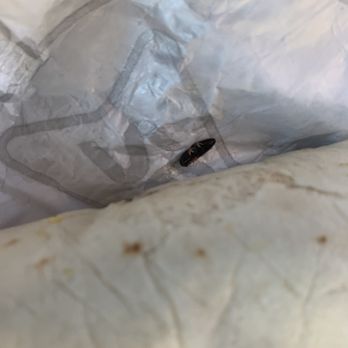 Sonic Drive-In - Big in my burrito wrapper. - Burgers Near Me - TYLERTOWN, Mississippi