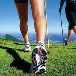 Strut Orthotics
