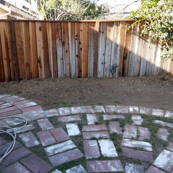 Castillo Tree Service - All four juniper trees removed! - Tree Services Near Me - Hayward, California