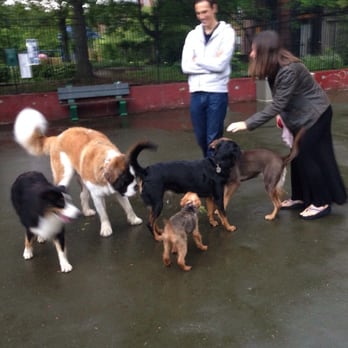 Carleton Court Dog Park - Dog Parks Near Me - Boston, Massachusetts Carleton Court Dog Park - Dog Parks Near Me - Boston, Massachusetts