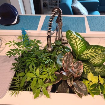 Potted - The Crew - Home Decor Near Me - Los Angeles, California