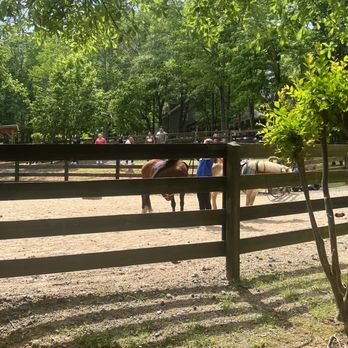Painted Horse Winery - two horses in a fenced area - Wineries Near Me - Alpharetta, Georgia Painted Horse Winery - two horses in a fenced area - Wineries Near Me - Alpharetta, Georgia