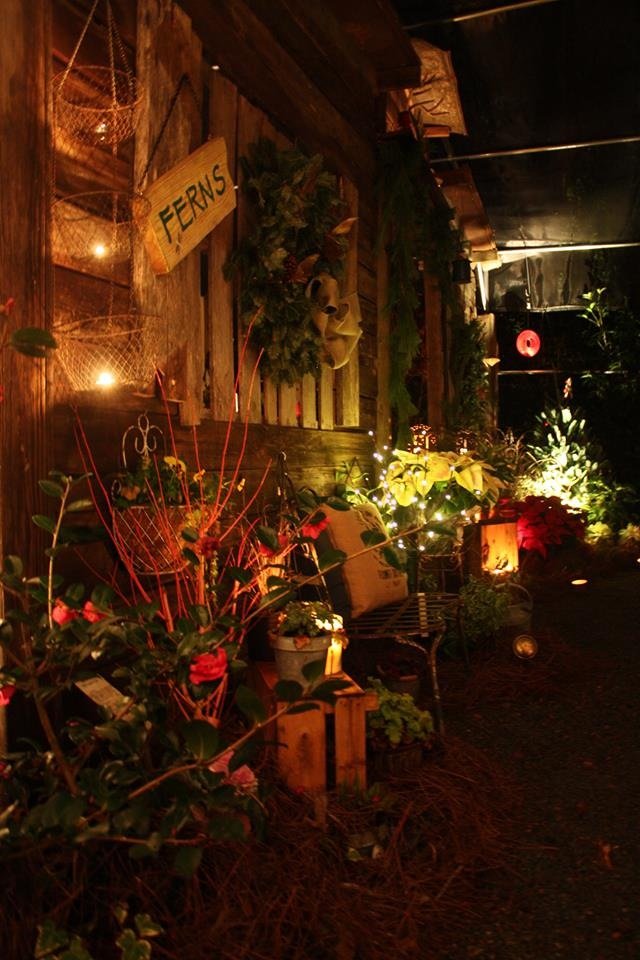 AUTUMN HILL NURSERY Updated August 2024 16 Photos & 20 Reviews 4256 Earney Rd, Woodstock