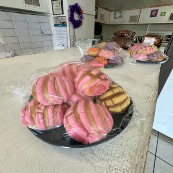 Caballero Bakery - Mini Conchas - Bakeries Near Me - San Antonio, Texas Caballero Bakery - Mini Conchas - Bakeries Near Me - San Antonio, Texas