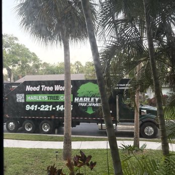 Harley's Tree Service - Truck and my messy palms before- they did any work - Tree Services Near Me