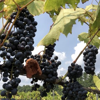 Fawn Creek Winery - Wineries Near Me - Wisconsin Dells, Wisconsin