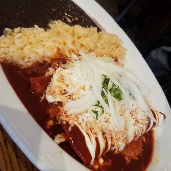La Cevicheria by de Mole - Roja enchiladas pollo - Mexican Near Me - Astoria, New York La Cevicheria by de Mole - Roja enchiladas pollo - Mexican Near Me - Astoria, New York