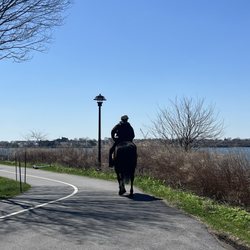 Ferry Point Park - Thank you for your service and pleased to meet you my four legged Equestrian friend.