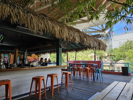 The Cat's Pajamas by null