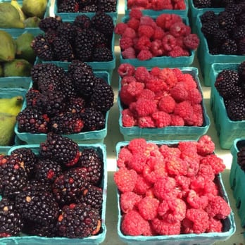 Schedeen Farms - Fresh fruit. Huge blackberries. - Fruits & Veggies Near Me - Gresham, Oregon Schedeen Farms - Fresh fruit. Huge blackberries. - Fruits & Veggies Near Me - Gresham, Oregon