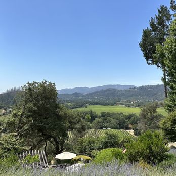 Rombauer Vineyards - View from the deck - Wineries Near Me - St. Helena, California Rombauer Vineyards - View from the deck - Wineries Near Me - St. Helena, California