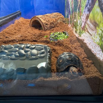 Petco - My nephew's new buddy!! - Pet Training Near Me - West Palm Beach, Florida