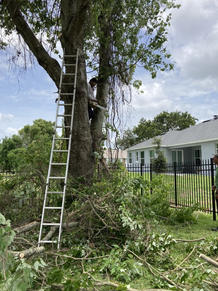 ROCKY LANDSCAPING Request a Quote 10 Photos Pierson, Florida