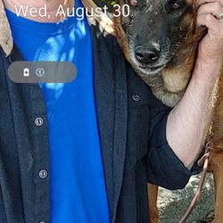 Dog Behavioral Training School - David with his Ida who is trained in Protection and Narcotic Detection.