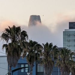 The Dogpatch