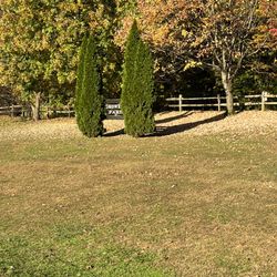 Crowell Park - Crowell park