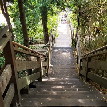 Filbert Steps - Shady steps - Local Flavor Near Me - San Francisco, California