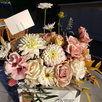Bloom In Box - A better view than from the car! Love that she put it in a box for easy transport! - Florists Near Me - La Palma, California Bloom In Box - A better view than from the car! Love that she put it in a box for easy transport! - Florists Near Me - La Palma, California