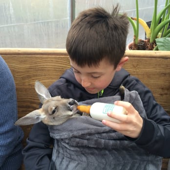 Kangaroo Creek Farm - Zoos Near Me - Kelowna, British Columbia Kangaroo Creek Farm - Zoos Near Me - Kelowna, British Columbia