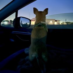 Big Sky Drive-In Theatre