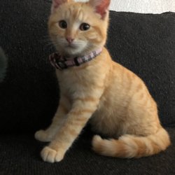 Sea View Pharmacy - Baby "Fellow" says thank you