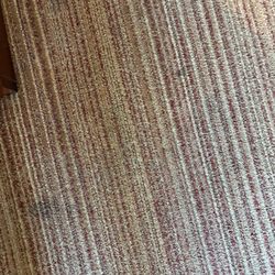 Courtyard by Marriott Philadelphia Coatesville Exton - Carpet stains