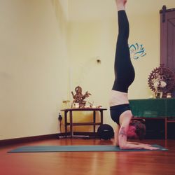 Sattva Yoga and Barre - Pincha Mayurasana