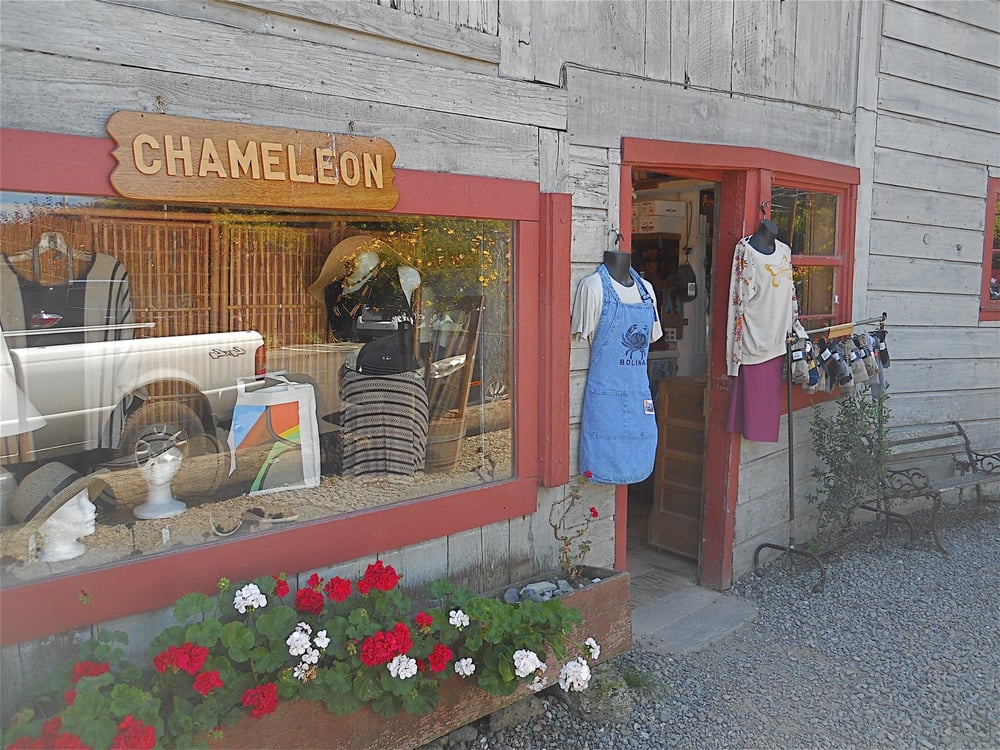 CHAMELEON 52 Wharf Rd, Bolinas, CA Yelp