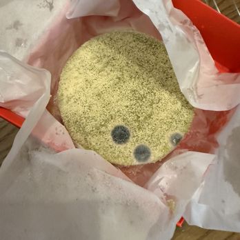 Hey Yogurt - Disgusting mold - Desserts Near Me - Great Neck Plaza, New York Hey Yogurt - Disgusting mold - Desserts Near Me - Great Neck Plaza, New York