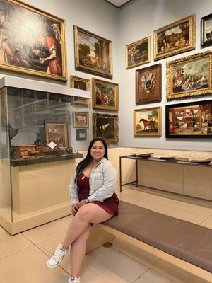 The Museum of Fine Arts, Houston by null