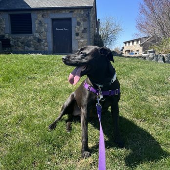 Enders Island - Landmarks & Historical Buildings Near Me - Mystic, Connecticut