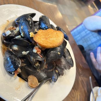 Salute - Mussels - Italian Near Me - Rocky Hill, Connecticut