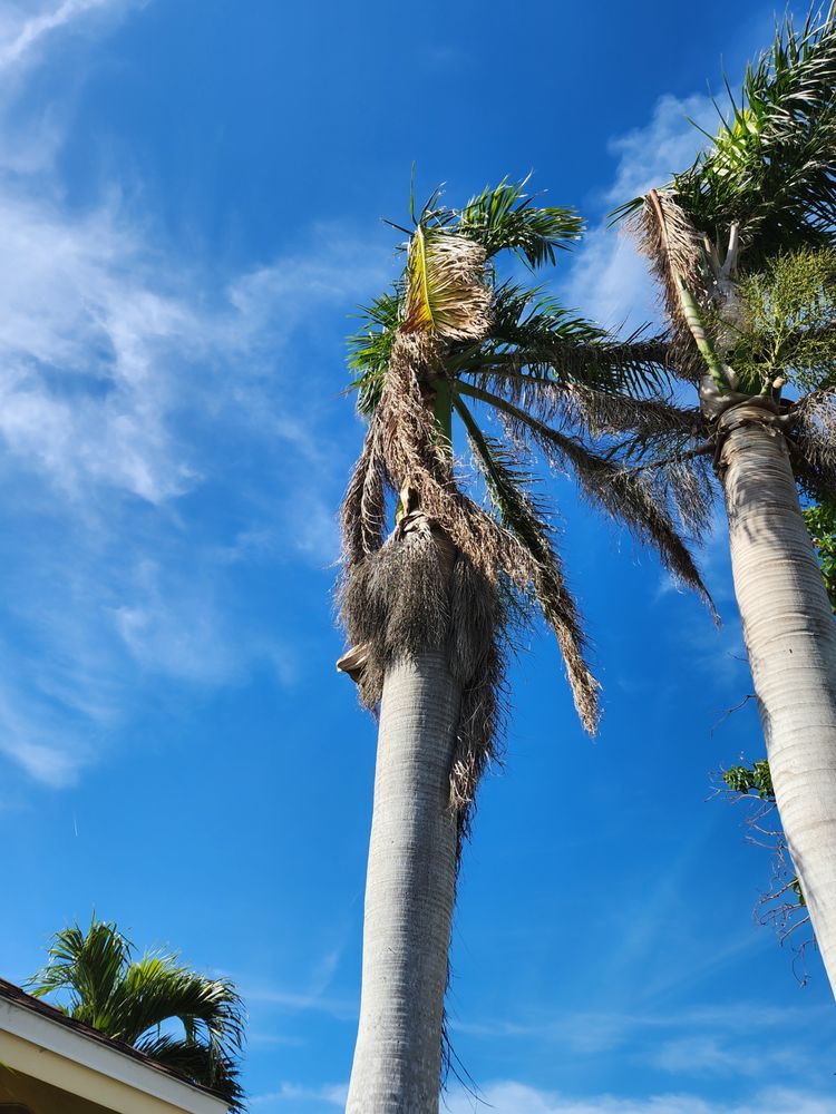 Slide of CHDO by Sunrise City