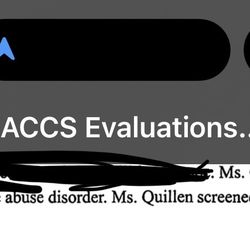 Accs-American Comprehensive Counseling Services - More state funding abuse.
