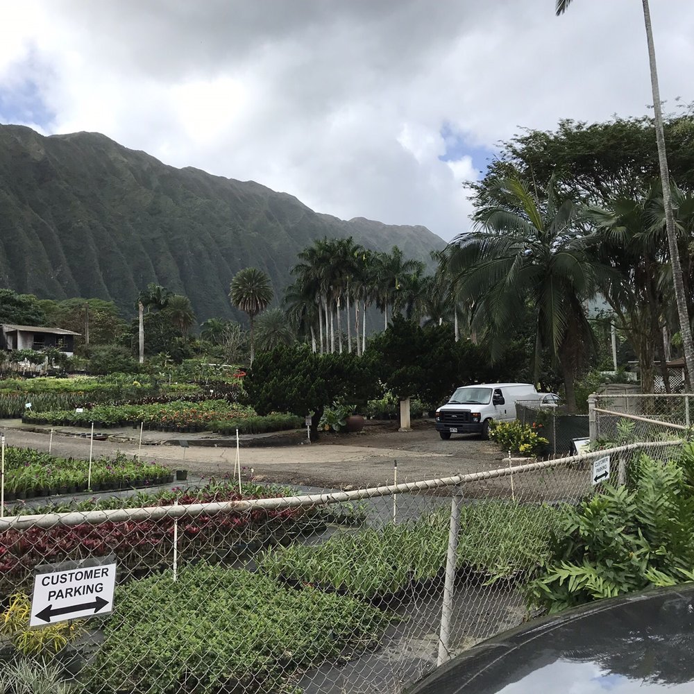 Sharon's Plants Ltd - Nurseries & Gardening Near Me - Waimanalo, Hawaii