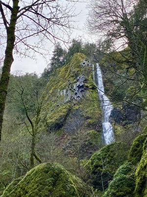 Starvation Creek Falls by null