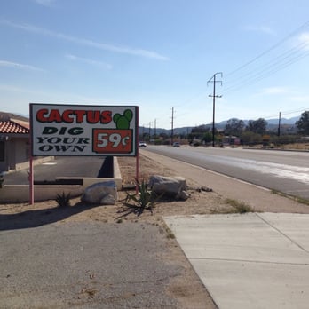 Cactus Mart - $0.59 to "dig" up baby cacti. - Nurseries & Gardening Near Me - Morongo Valley, California