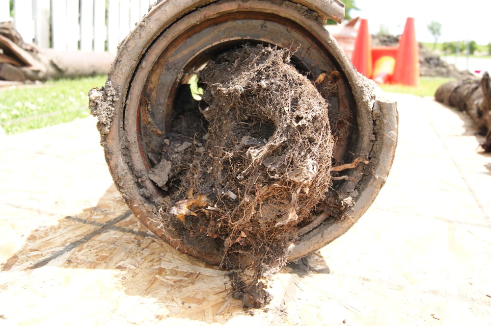 Slide of All Clear Sewer Works