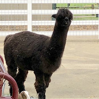 Blackberry Farm - Parks Near Me - Aurora, Illinois